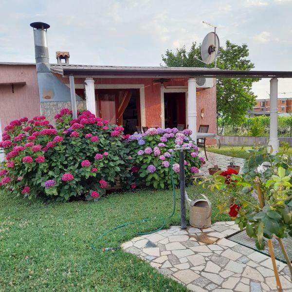Dragica Apartment Poreč