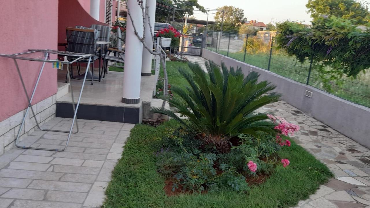 Dragica *