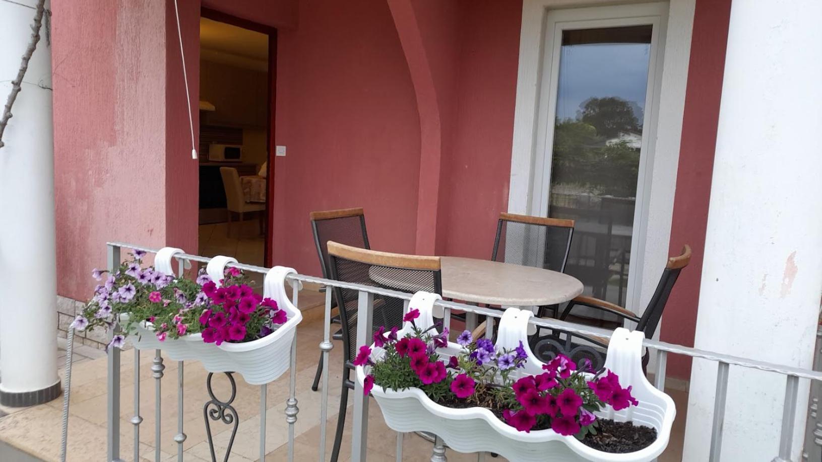 Apartment Dragica