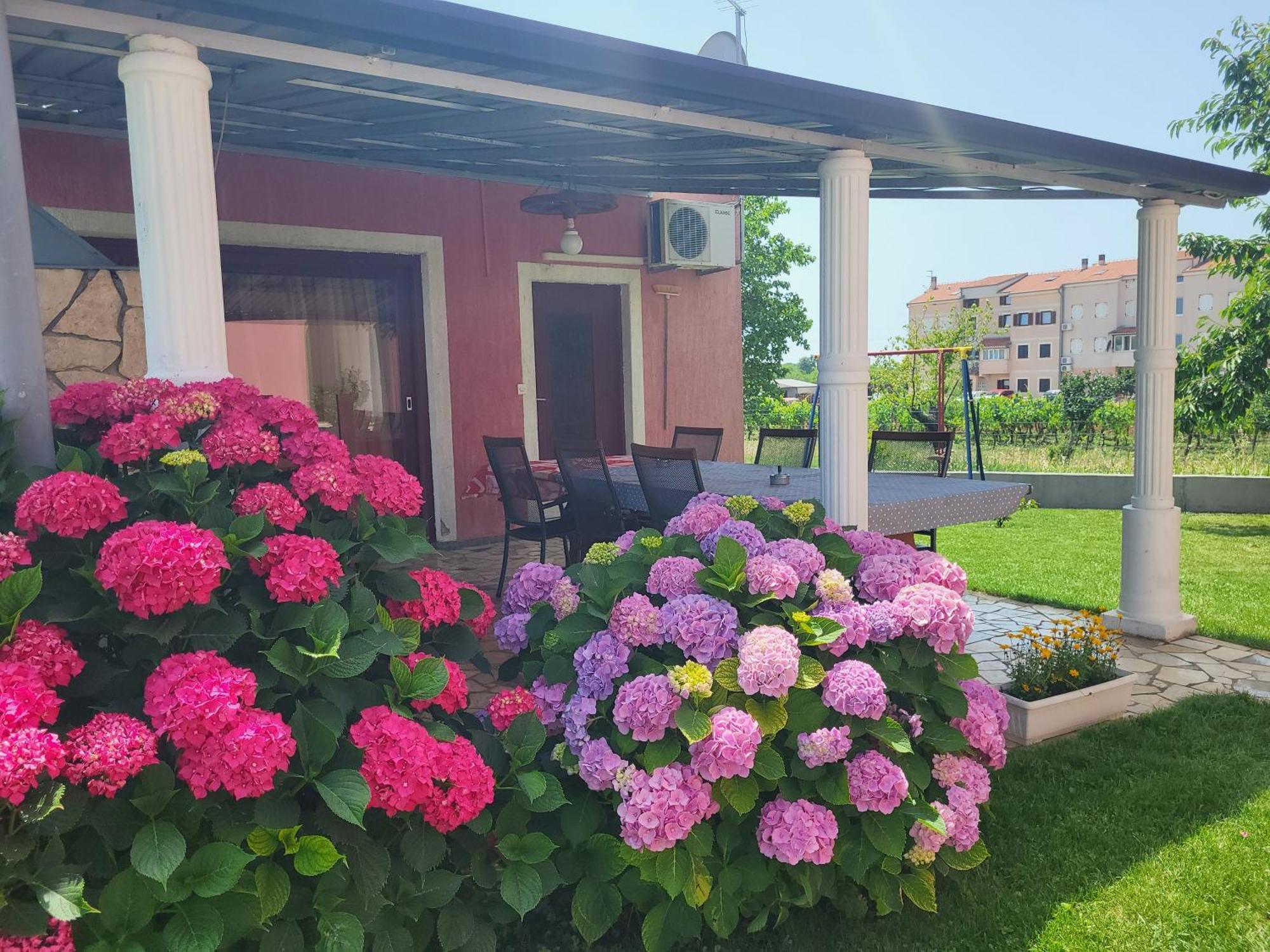 Apartment Dragica