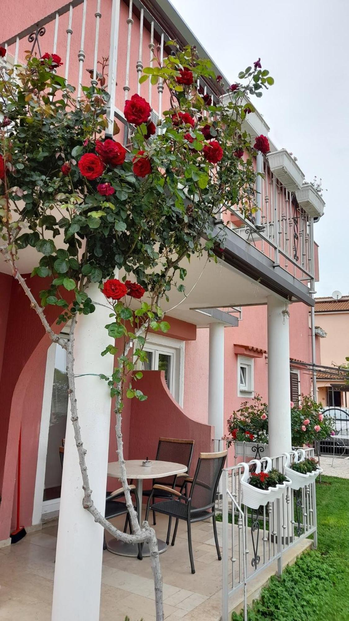 Apartment Dragica *