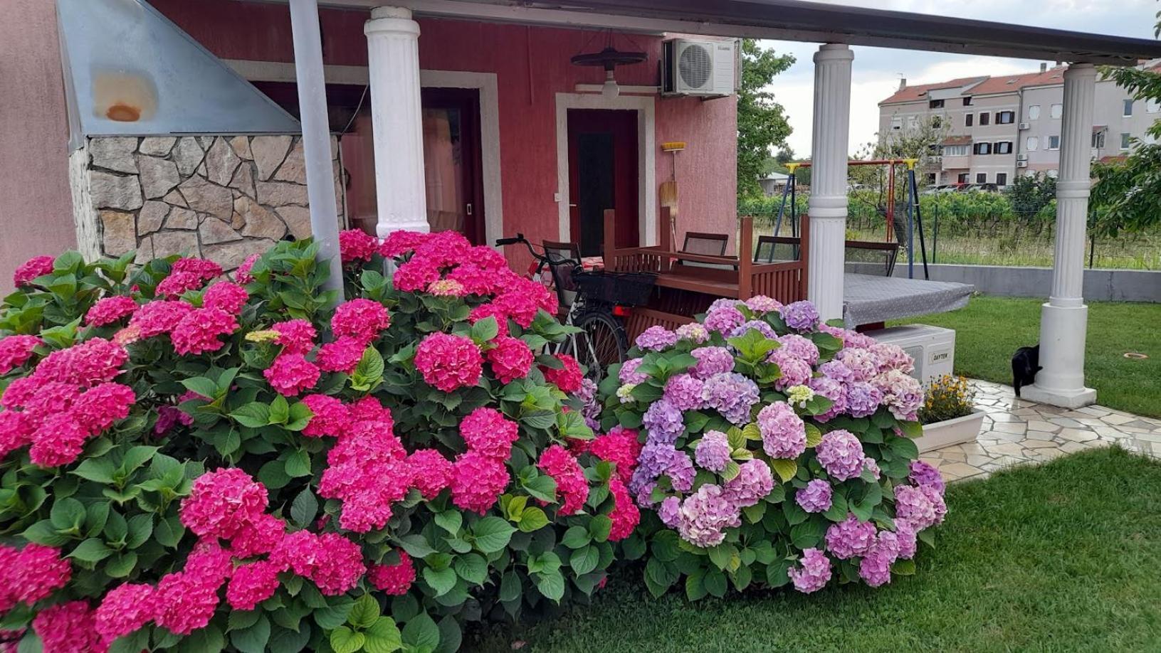 Dragica Apartment Poreč