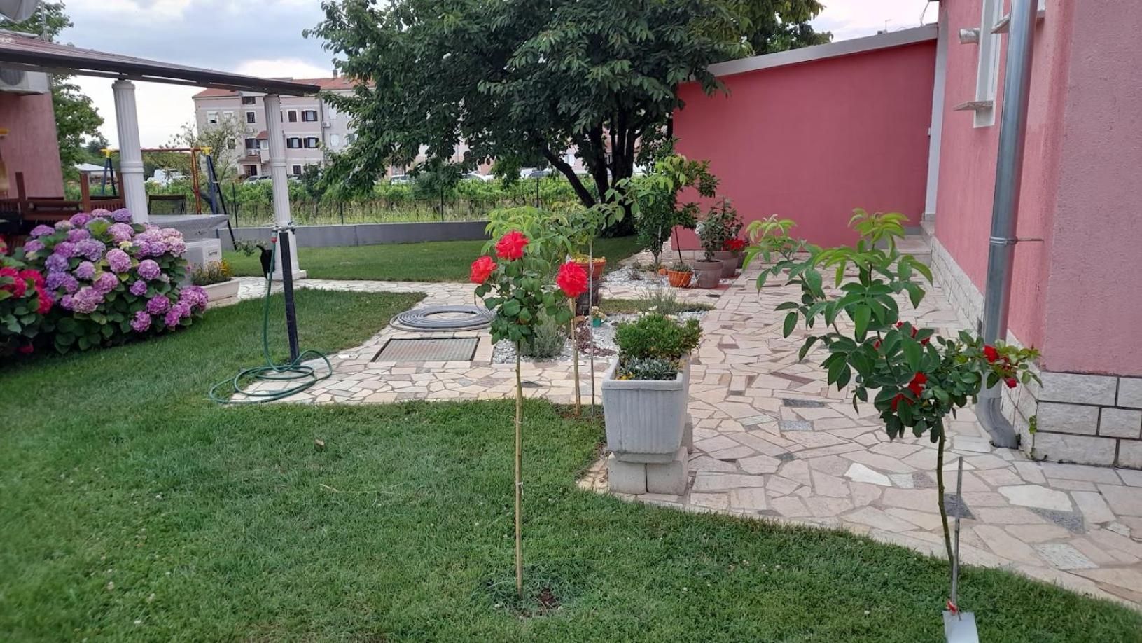 Dragica Poreč